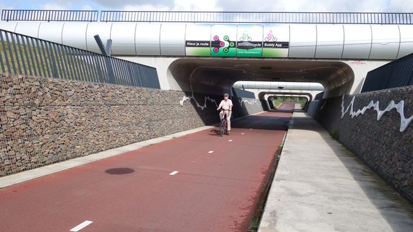 Ein Radschnellweg, auf dem ein Radfahrer fährt