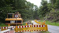 Das Bild zeigt eine Straßenbaustelle in einem Wald. Rechts steht ein Bagger, links liegen zahlreiche gefällte Bäume.